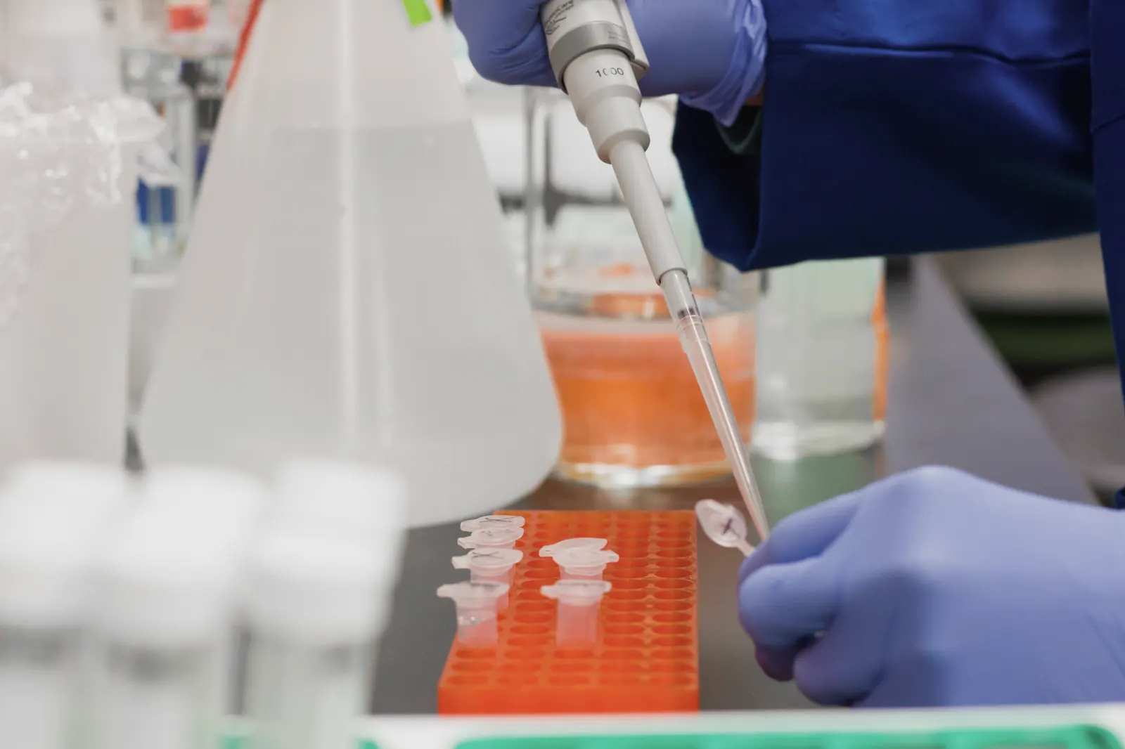 A gloved hand pipettes an orange liquid into a row of sample tubes.