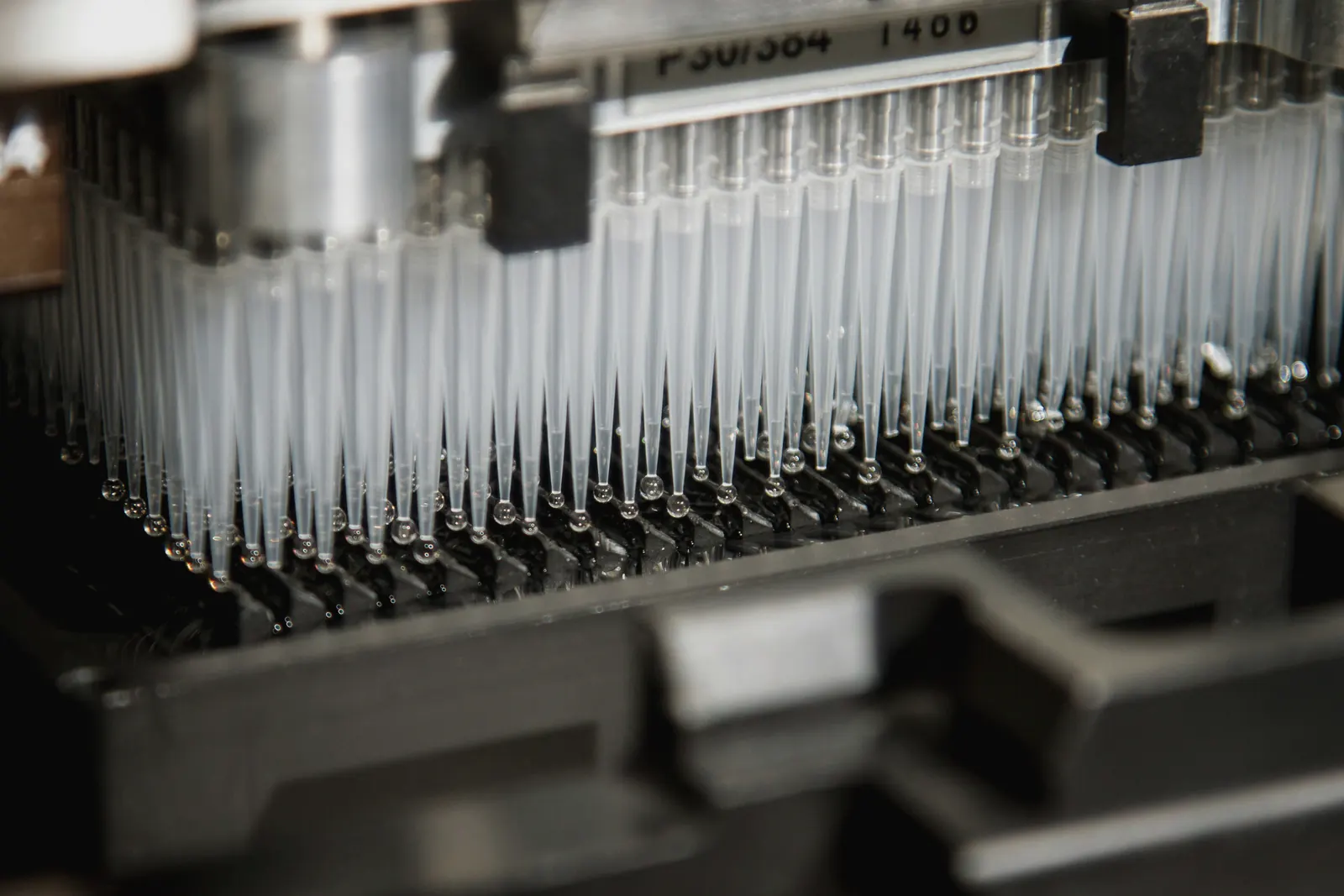 Rows of automated pipette tips on a liquid-handling robot.